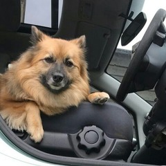 Moving On Can Be So Hard To Do