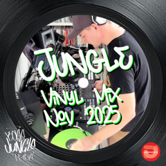 Jungle & Jungle Tekno Vinyl Mix November 2025