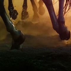 GALLOP PONYBOY