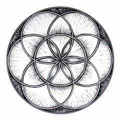 Circles (House Cover)(V2)