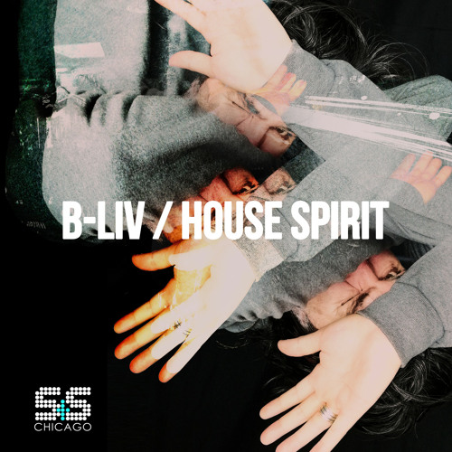 B-Liv - House Spirit (Original Mix)