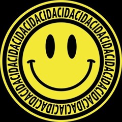 Dj Looter - 100% Acidi Furious (2004)