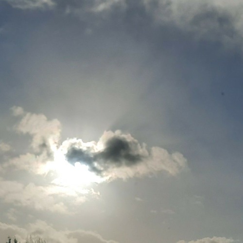 The Truth: Is Elusive, Ai