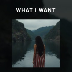 What I want(2)