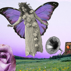 Butterfly (full tape) by VelVibez
