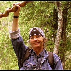 Timbered Lake - Rough Riding To Heaven