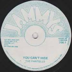 The Fantells- You Can't Hide