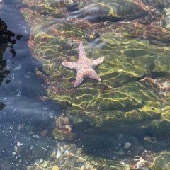 хватит считать меня за дурака