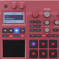 ACIDETRIBE (KORG,TD3)