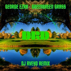 George Ezra - Green Green Grass (RaveyD Remix)
