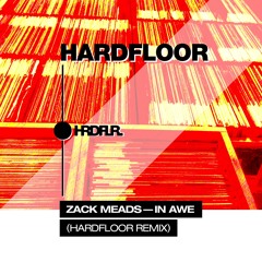 In Awe (Hardfloor Remix Edit)