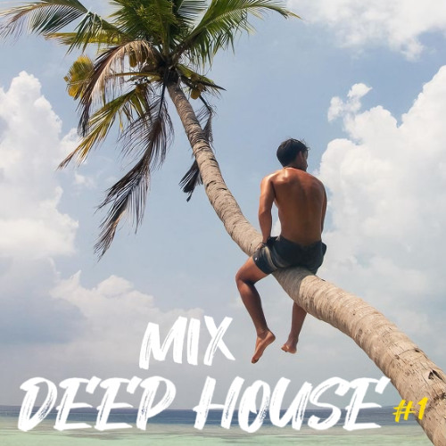 1 Hour of the Best Emotional Deep House | Mixed By VIES VIBES