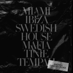 Swedish House Mafia - Miami 2 Ibiza (Andrea Concari Remix)