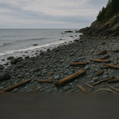 my crashing shore