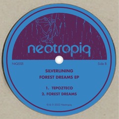 PREMIERE: Silverlining - Forest Dreams [NtQ005]