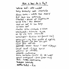 ask i how do i fly?, a mix for snack skateboards