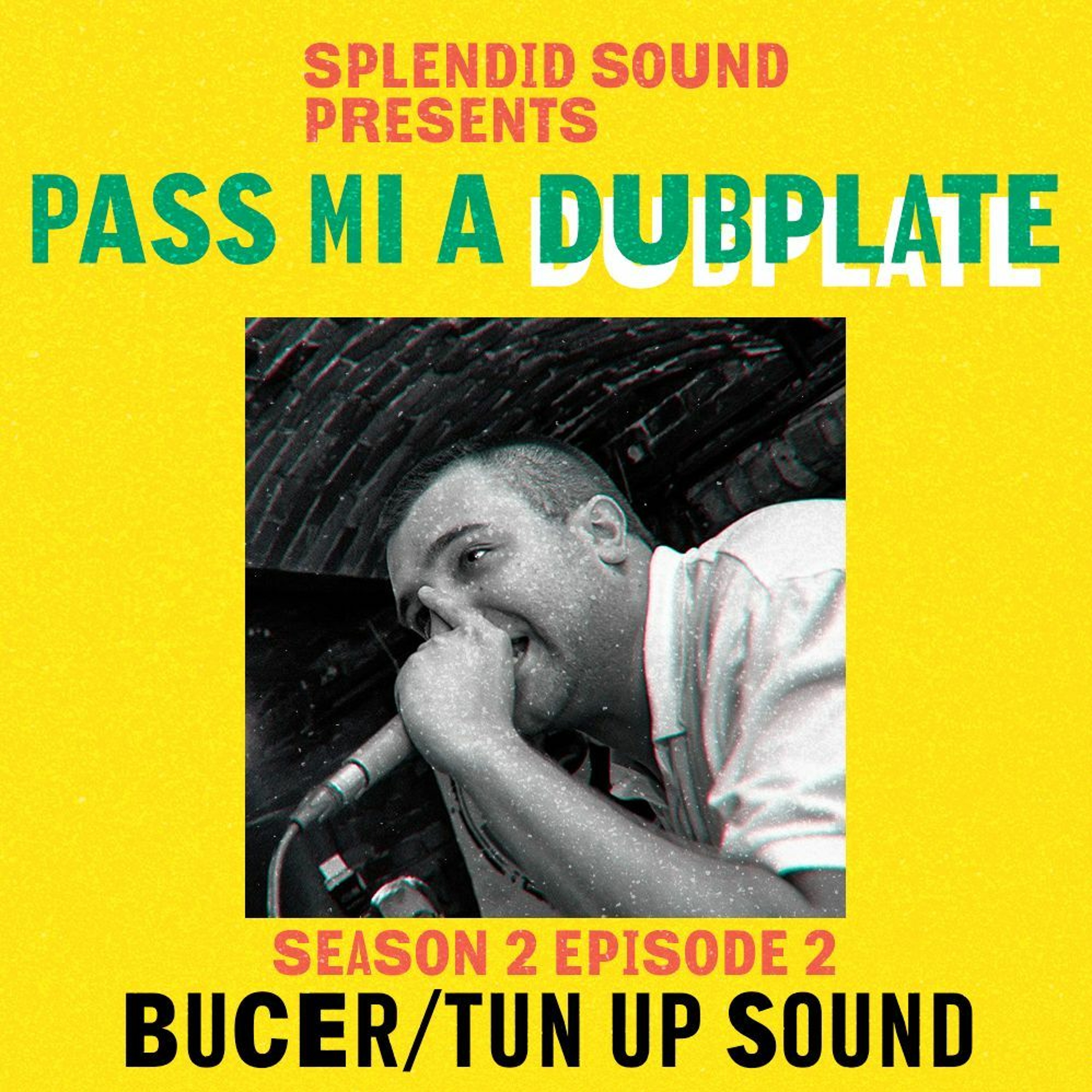 (Season 2) Pass Mi A Dubplate Podcast #2 - TUN UP SOUND / BUCER episode artwork