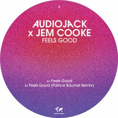 Audiojack x Jem Cooke - Feels Good