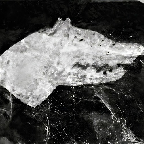 S.X.N.D. N.X.D.E.S. SLOWED&REVERB