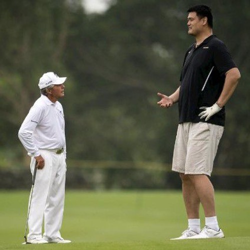 YAO MING (coin glock enlil soulm8)