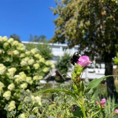 COFFEE AND CRITICAL (House Live Mix)