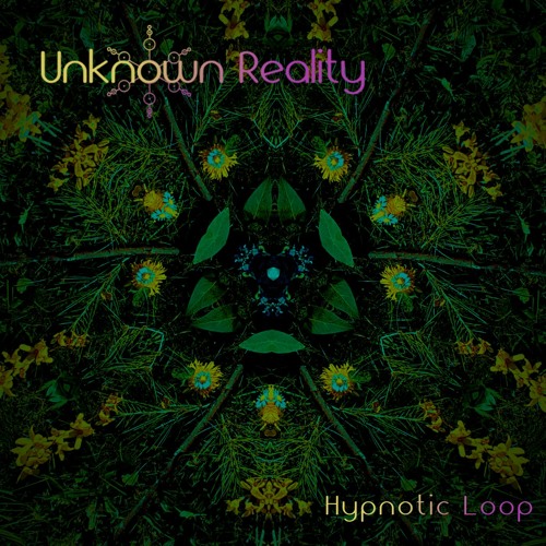 Unknown Reality - Hypnotic Loop