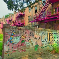 Project Steps 2 Success