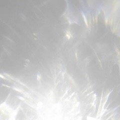 max_followings_reached