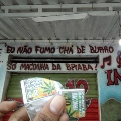 ELA QUER BANDIDO DO COMANDO - MC LZ DO B13( DJ NEM DO DICK)