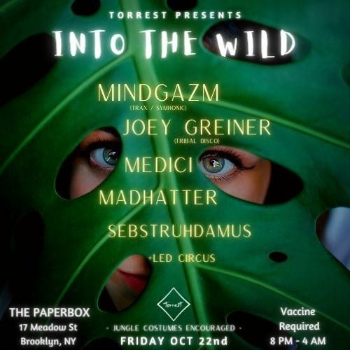 MindGazm 10.22.21 Torrest Into The Wild At The Paper Box