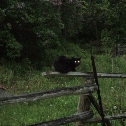 staywitU [prod. grayskies]