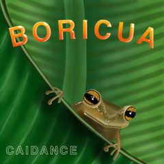 Caidance & Elly Martinez - In the Heat (Original Mix)