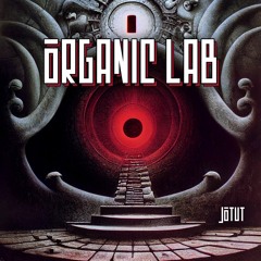 ORGANIC LAB