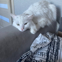 ШИПЫ/ONDA ANDAR + фортуна⋆812 - Бродилки Онлайн