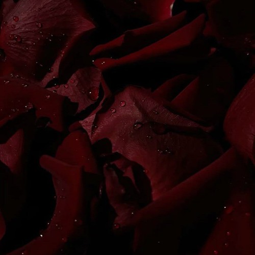 BECKER ЕГОРИК   Мало тебя