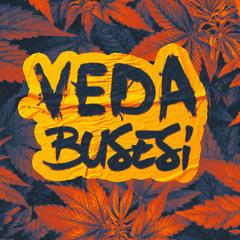 VEDA BUSESİ