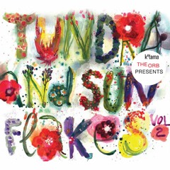 Tundra And Sunflakes Vol.2 (2011) – compiled by The Orb