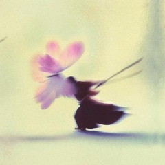 Thank God! (p. Kaizzr + Septttt + Firemane)