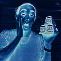 Mr.Mains Day Off (RAVE REMIX)- DJ BRTIII THE BIRDGUY