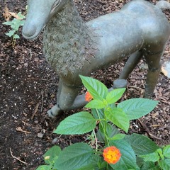 Pilgrim, Gate, and Shrine