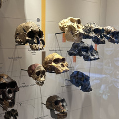 Lost In Frequency ⚡️ Featuring Pipe Zzz & Jam Topia.m4a