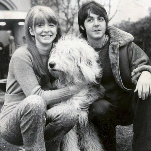 Stream Martha My Dear - Beatles by ChrisHansen33 | Listen online for free  on SoundCloud