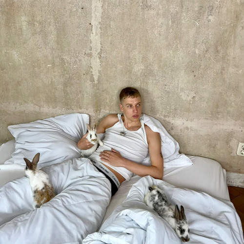 TANZBEIN (schepper-edit)