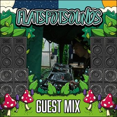 Guest Mix #012 TOMMY D [4x4]