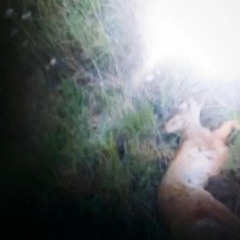 it all ends _mix for nts