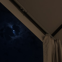 ماني مجازيك عندليب قطر