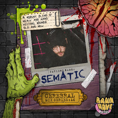 Cerebral Mix Series 14 - SEMATIC