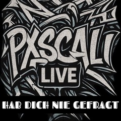 Hab dich nie gefragt - Pxscali [LIVE]
