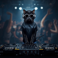 episode 19: Deeptronic