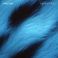 Pink Pantheress - Passion (Zaida Zane Remix)